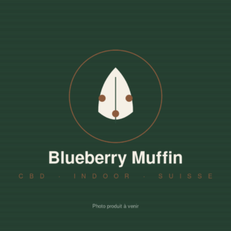 Blueberry Muffin CBD
