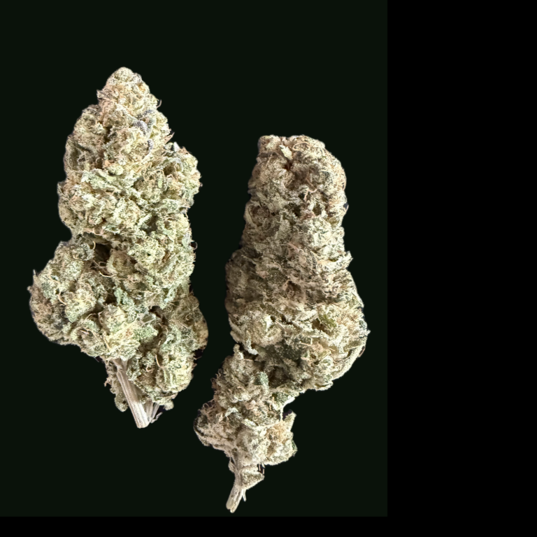 Plutonium CBD